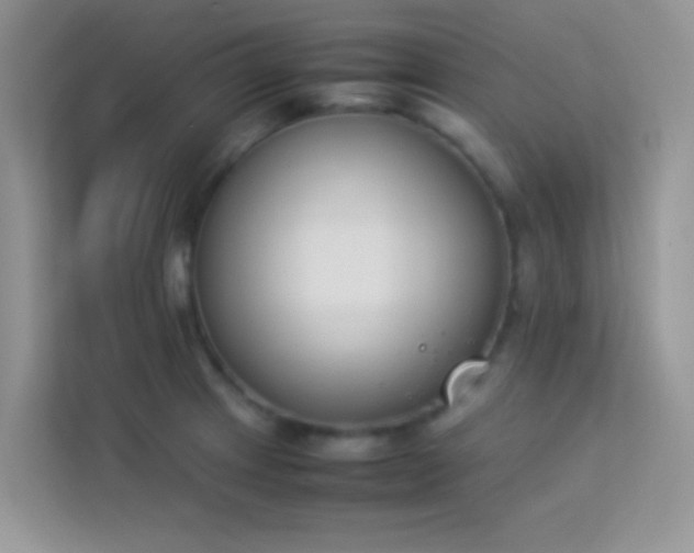 X0000114231233200910091442
