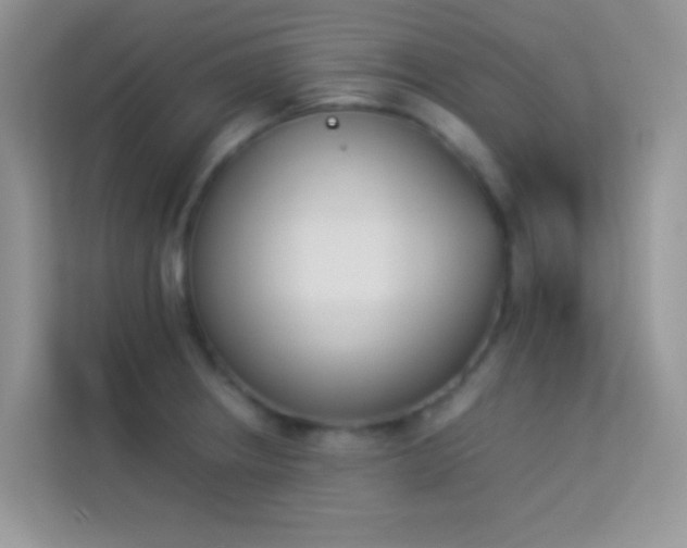 X0000114231234200910091442