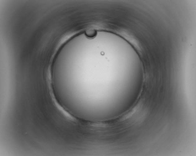 X0000114231239200910091442