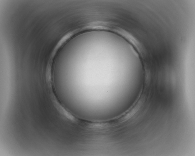 X0000114231240200910091442