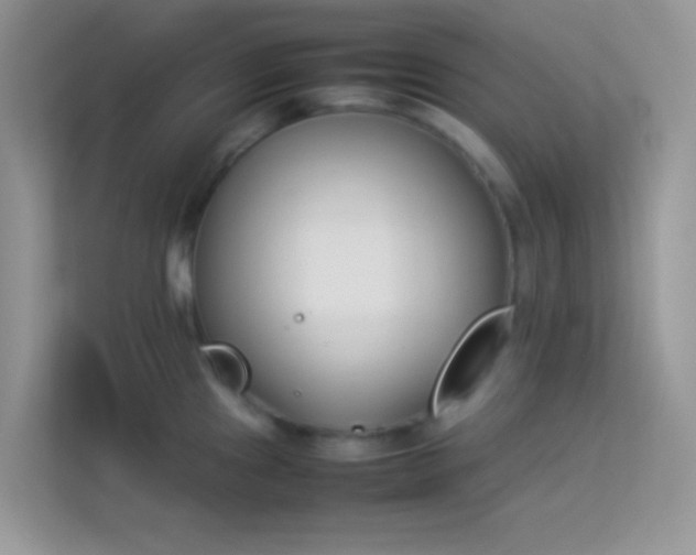 X0000114231241200910091442