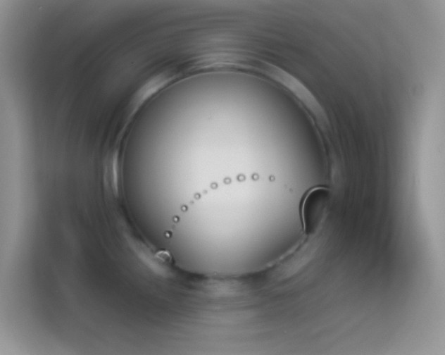 X0000114231242200910091442