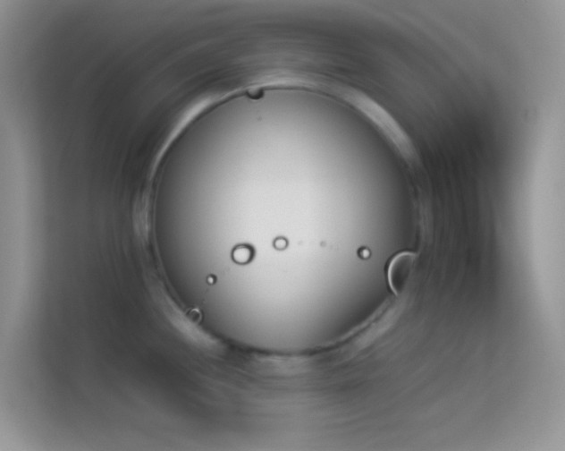 X0000114231244200910091442