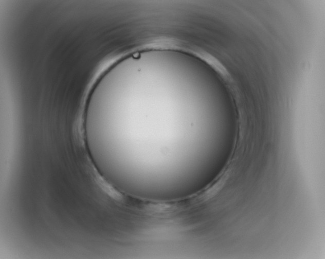 X0000114231248200910091442
