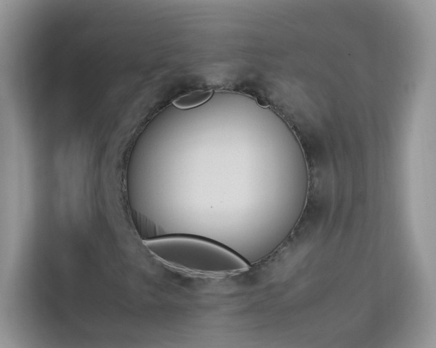 X0000114231249200910091441