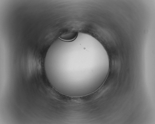 X0000114231250200910091441