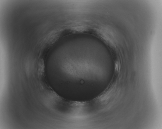 X0000114231251200910091441