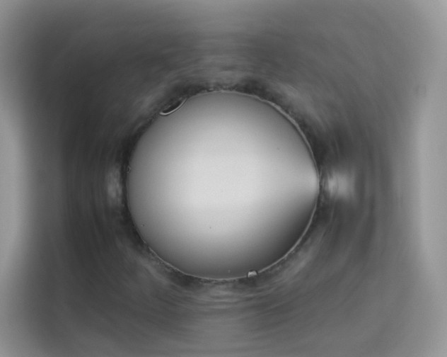 X0000114231252200910091441