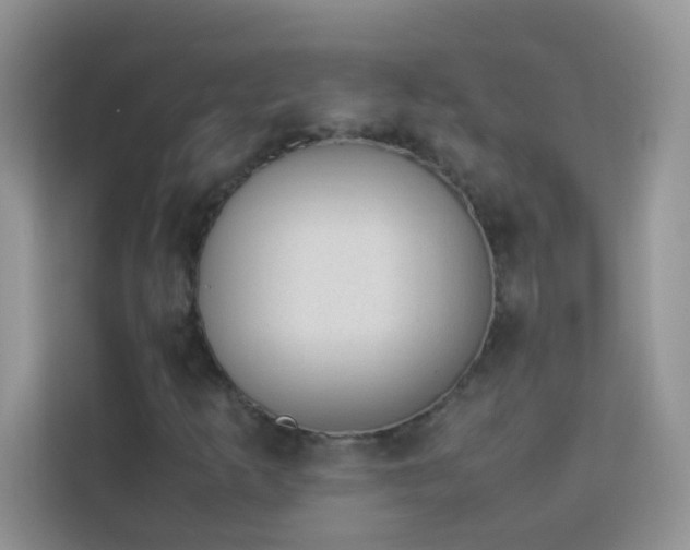 X0000114231253200910091441