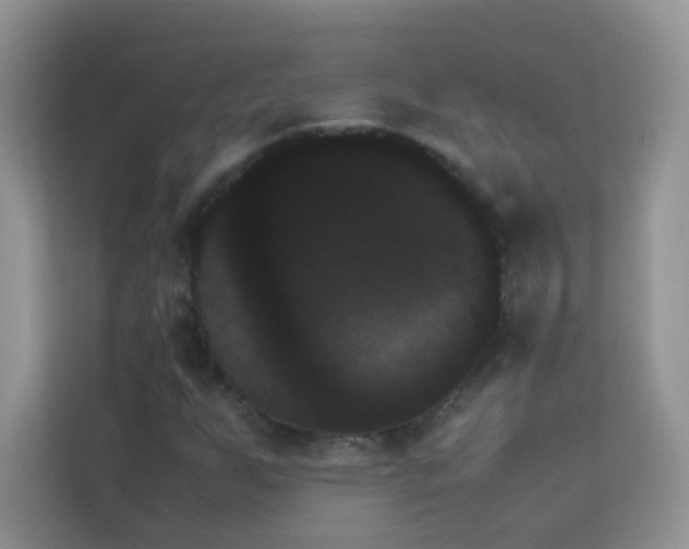 X0000114231255200910091441