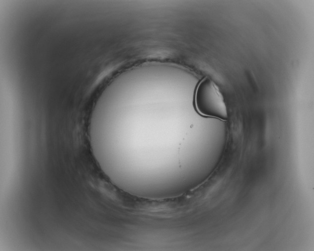 X0000114231256200910091441