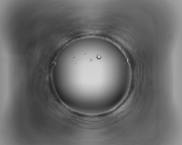 X0000114231257200910091441