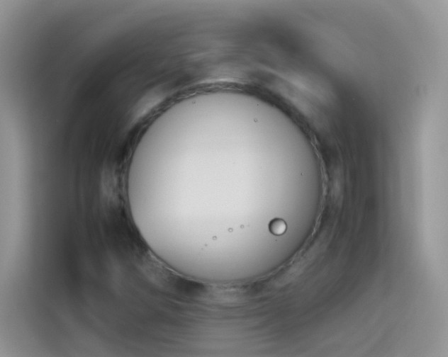 X0000114231258200910091441