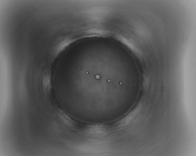X0000114231259200910091441