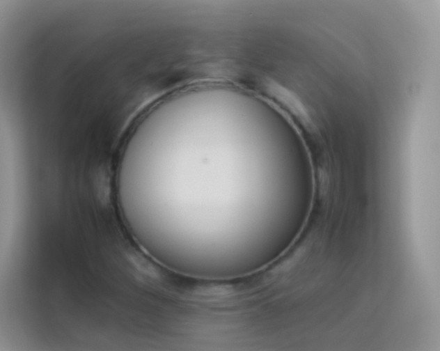 X0000114231260200910091441