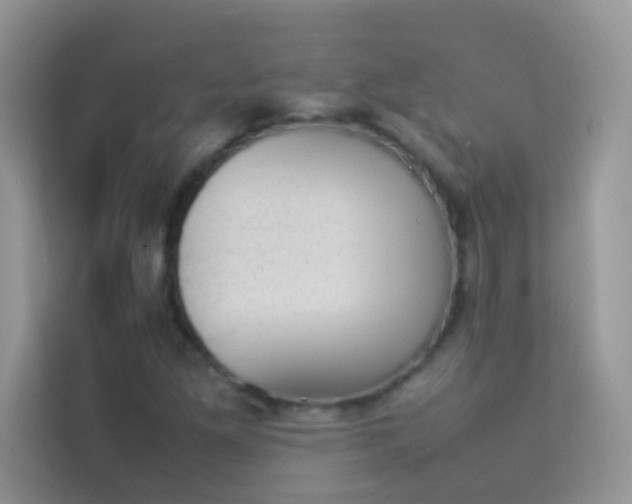 X0000114231261200910091441