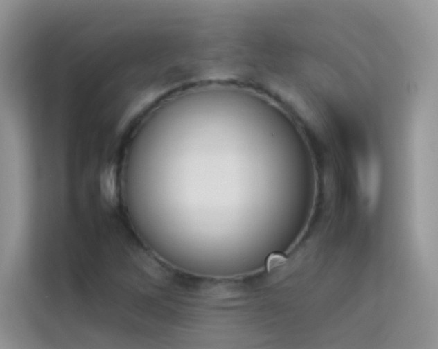 X0000114231262200910091441