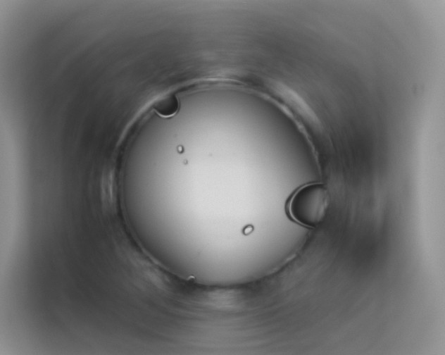 X0000114231268200910091441