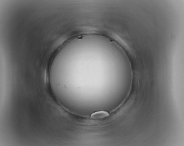 X0000114231269200910091441