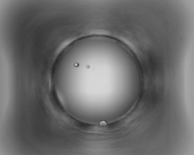 X0000114231271200910091441