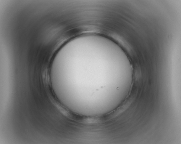 X0000114231274200910091441