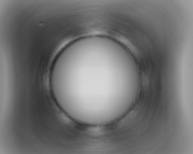 X0000114231278200910091441