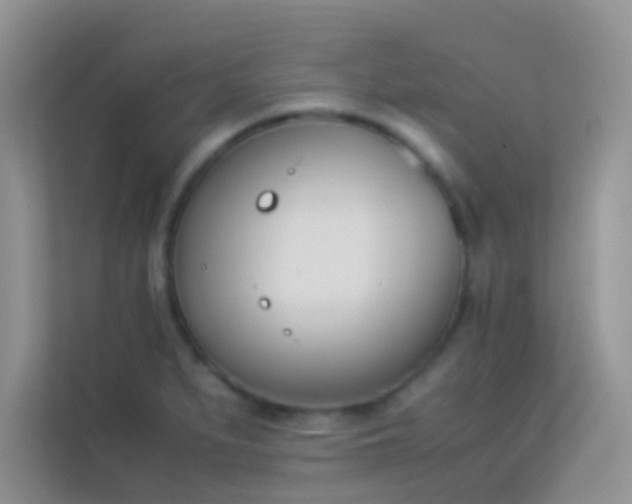 X0000114231279200910091441