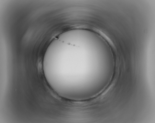 X0000114231281200910091441