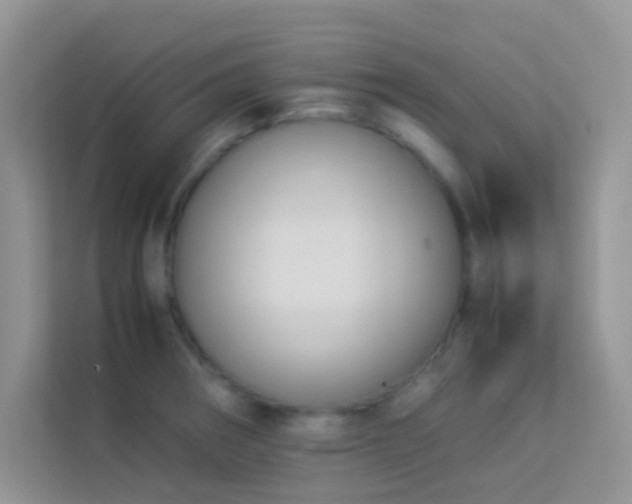X0000114231282200910091441