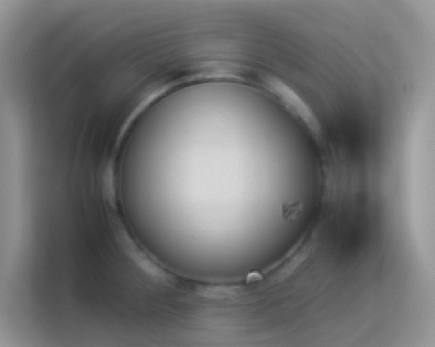 X0000114231284200910091441