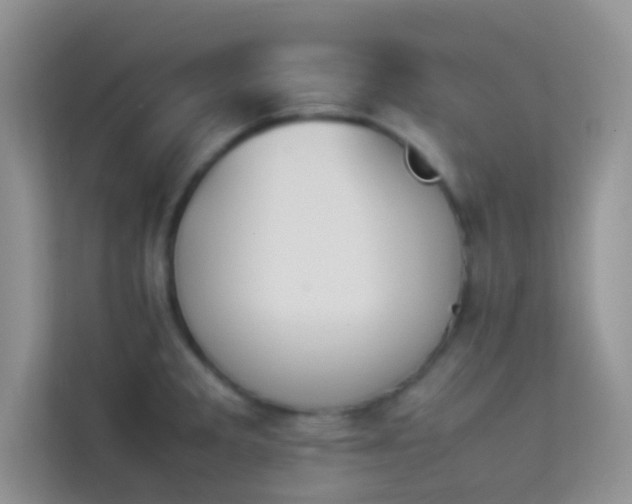 X0000114231285200910091441