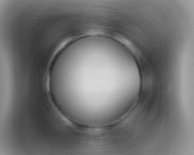 X0000114231286200910091441