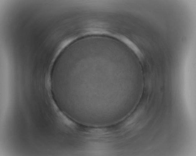 X0000114231287200910091441