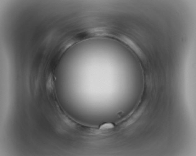 X0000114231289200910091441