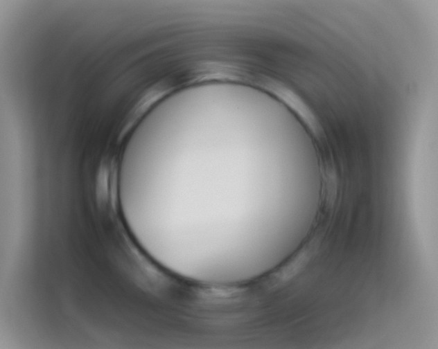 X0000114231290200910091441