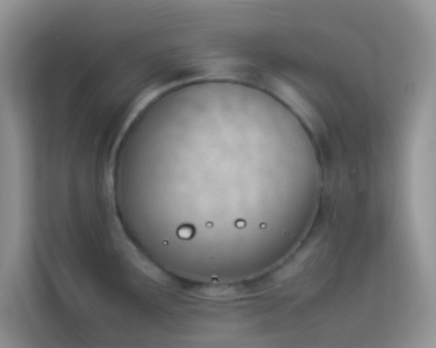 X0000114231291200910091441