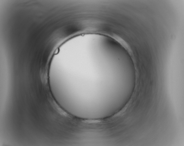 X0000114231296200910091441