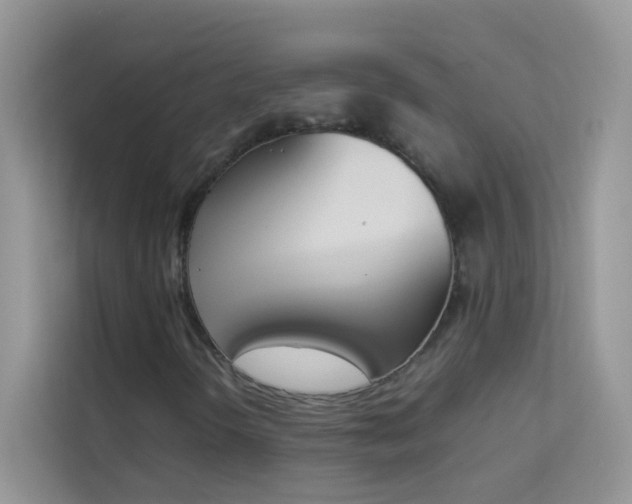 X0000114231298200910091440