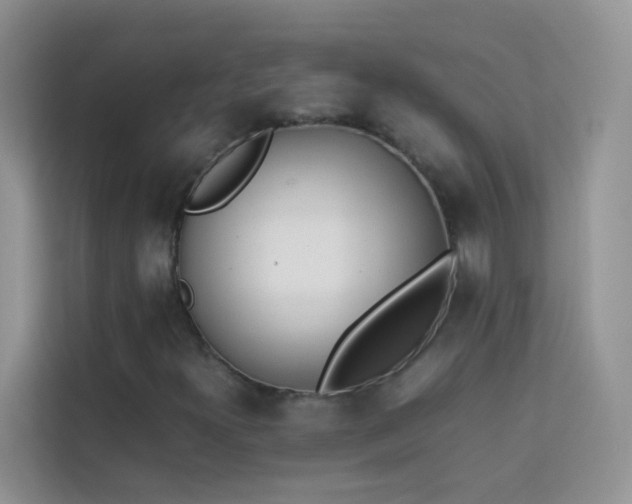 X0000114231300200910091440