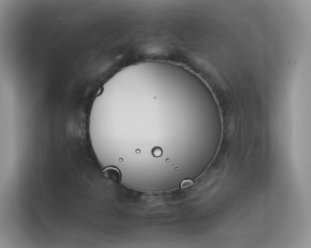 X0000114231301200910091440