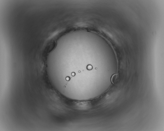 X0000114231303200910091440