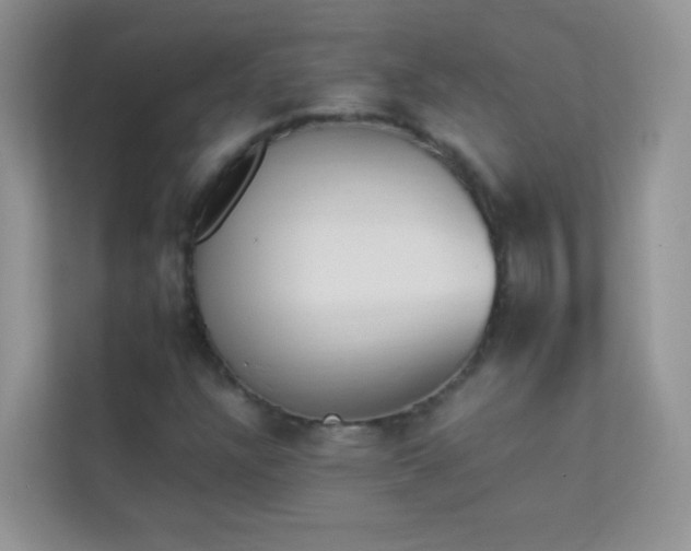 X0000114231304200910091440