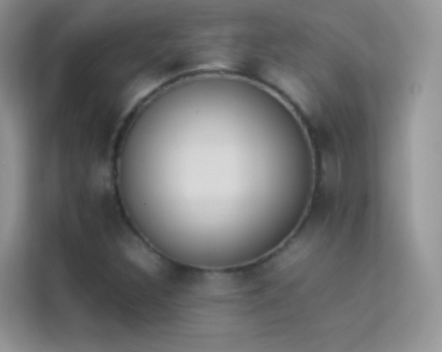 X0000114231308200910091440