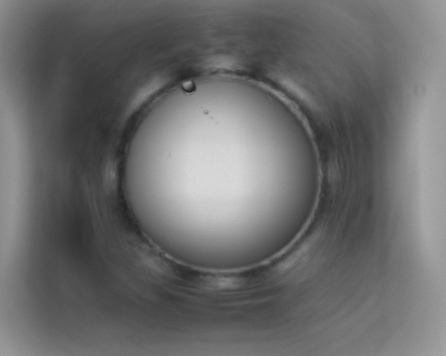X0000114231309200910091440