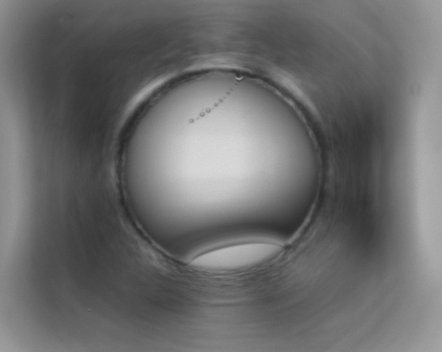 X0000114231312200910091440
