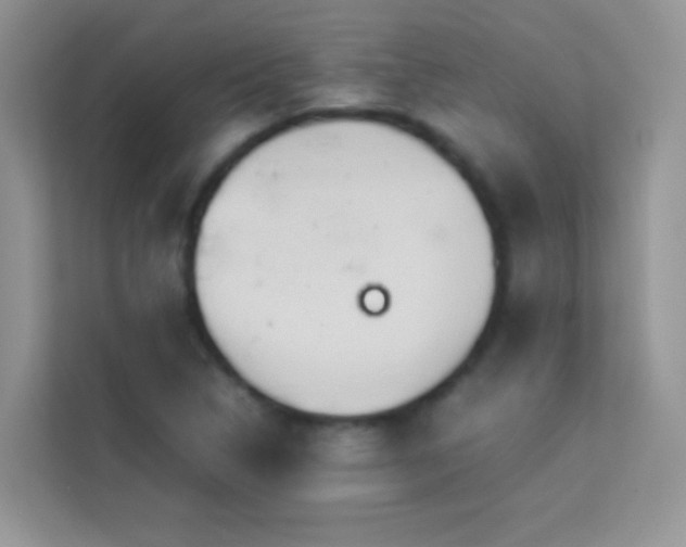 X0000114231314200910091440