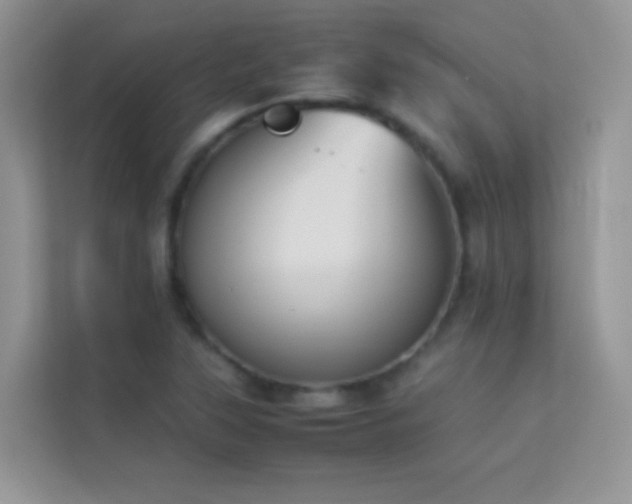 X0000114231315200910091440