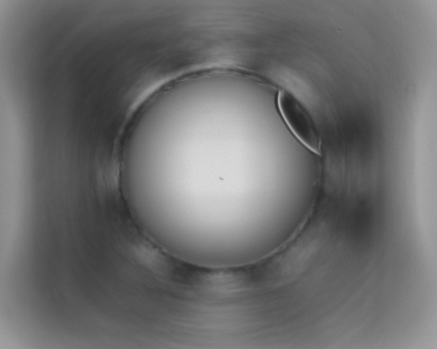 X0000114231316200910091440