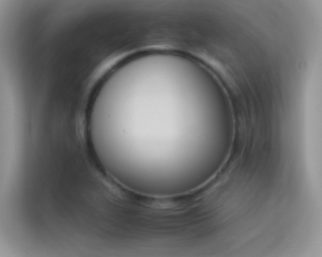 X0000114231319200910091440