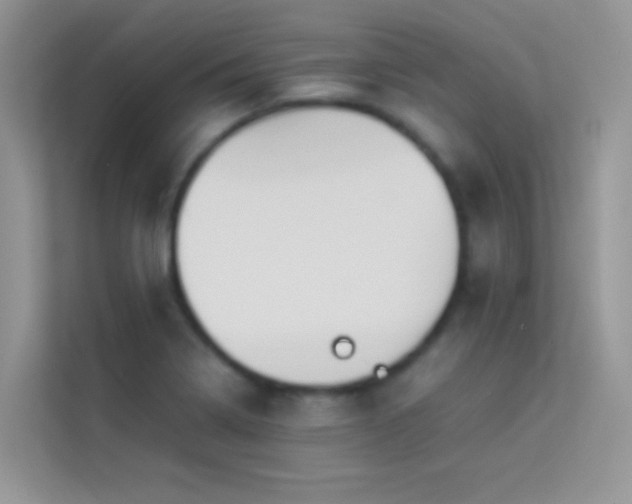 X0000114231322200910091440